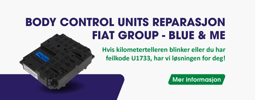 Fiat group - Blue & Me