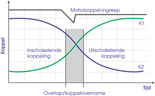 dsg-schema
